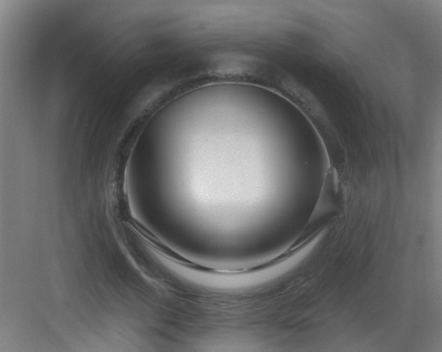 X0000082930728200702081540