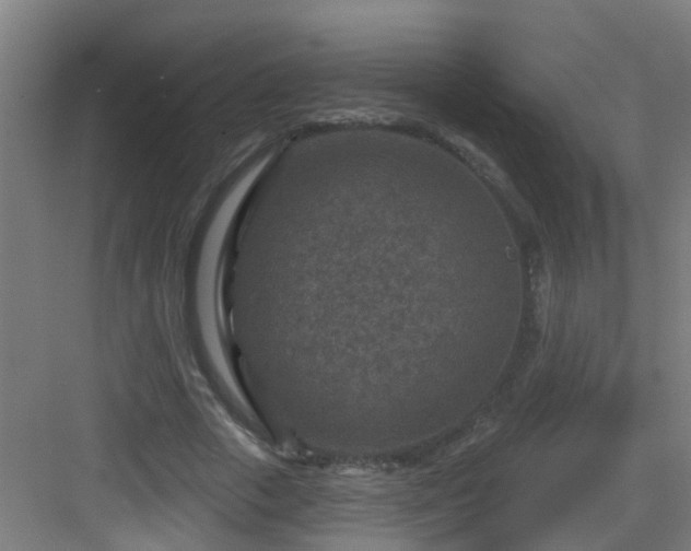 X0000082930729200702081540