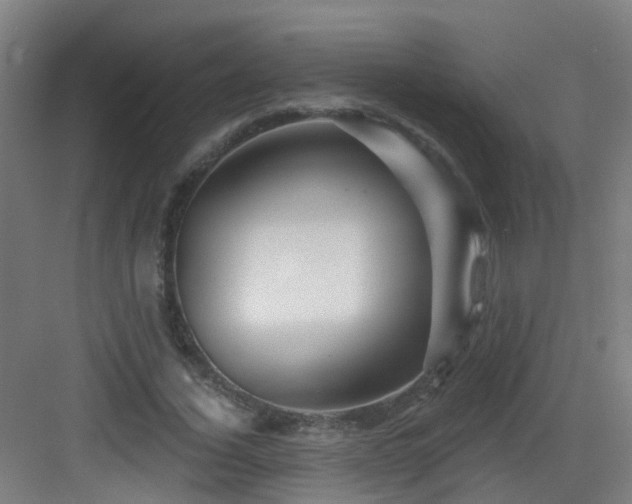 X0000082930732200702081540