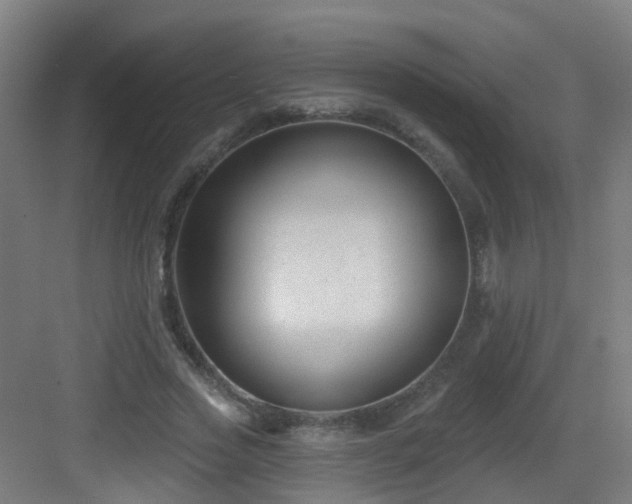 X0000082930733200702081540