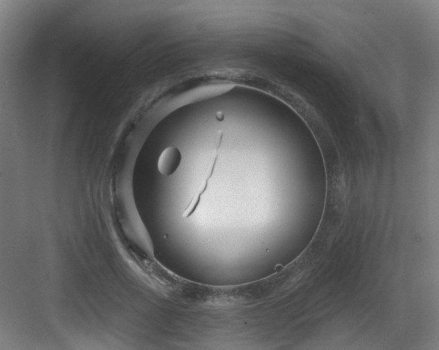 X0000082930734200702081540