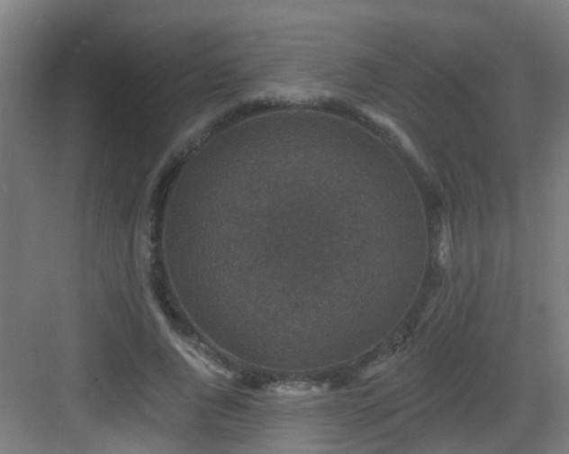 X0000082930736200702081540