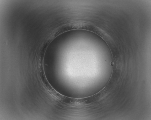 X0000082930737200702081540