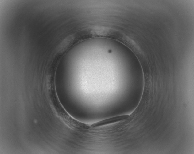 X0000082930738200702081540