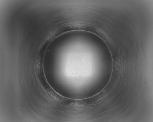 X0000082930739200702081540