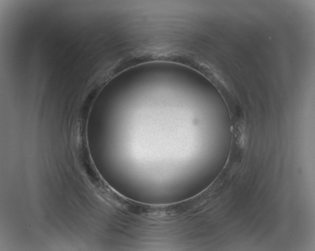 X0000082930740200702081540