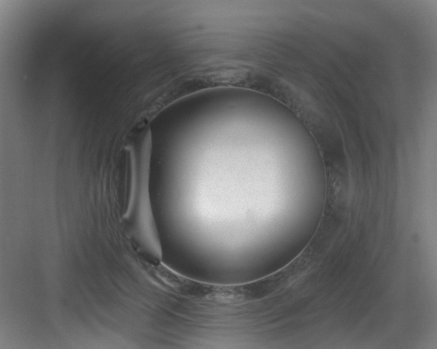 X0000082930745200702081540