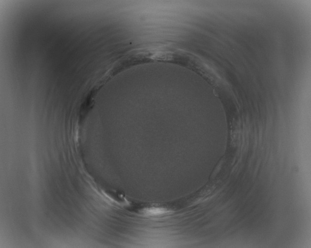 X0000082930748200702081540