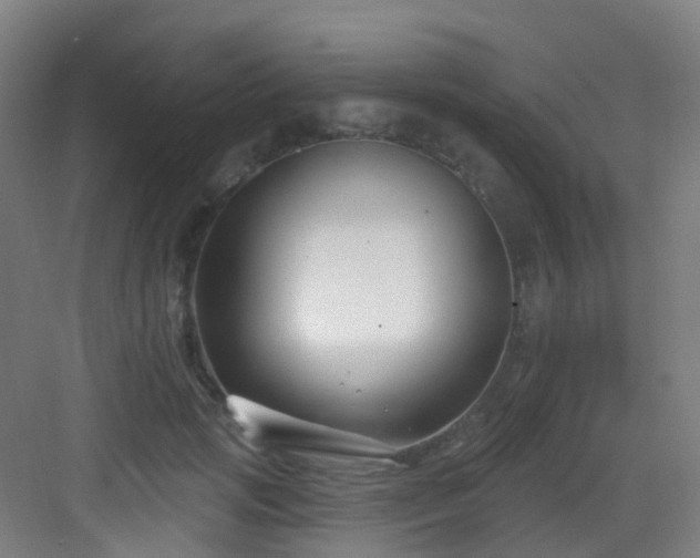 X0000082930749200702081540