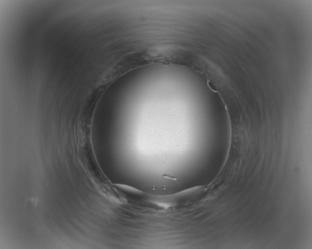 X0000082930751200702081540