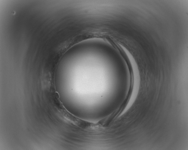 X0000082930752200702081540