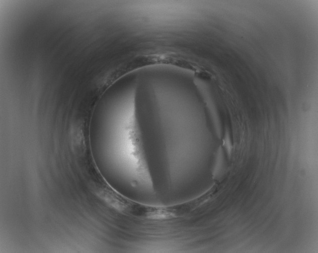 X0000082930754200702081540