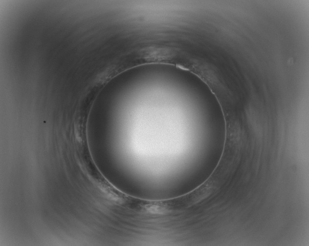 X0000082930755200702081540