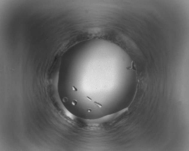 X0000082930756200702081540