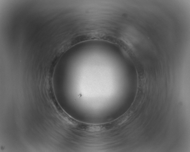 X0000082930757200702081540