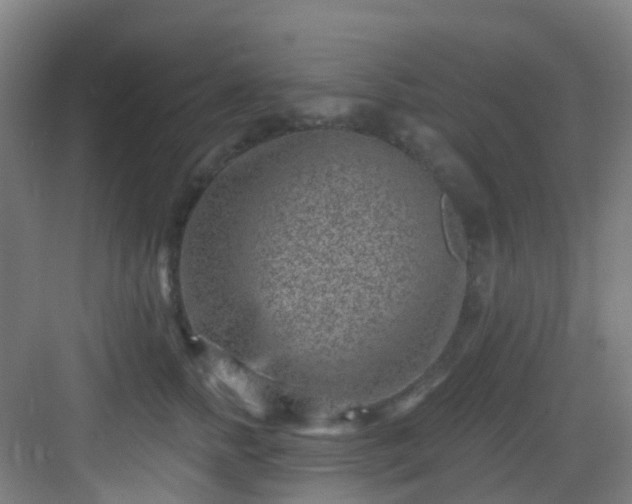 X0000082930758200702081540