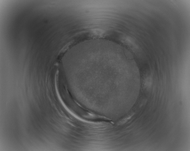 X0000082930759200702081540