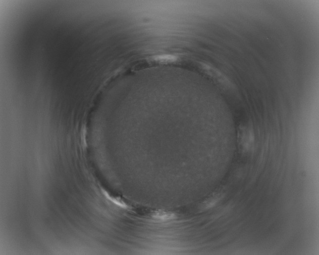 X0000082930760200702081540