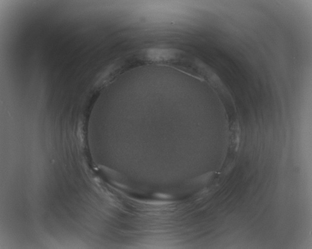 X0000082930762200702081540