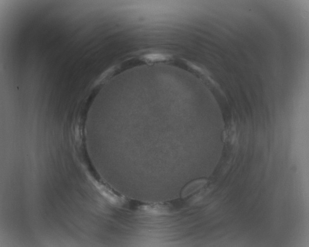 X0000082930763200702081540