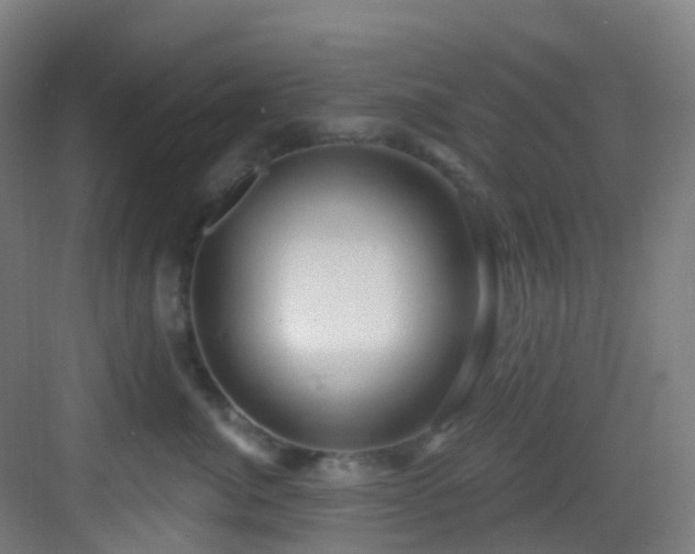 X0000082930764200702081540