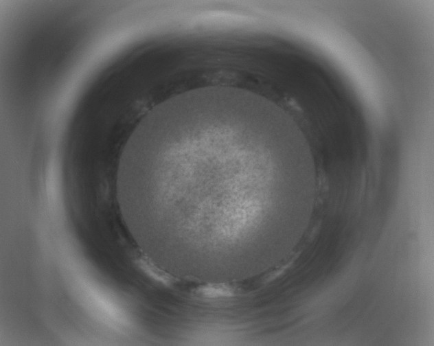 X0000082930765200702081540