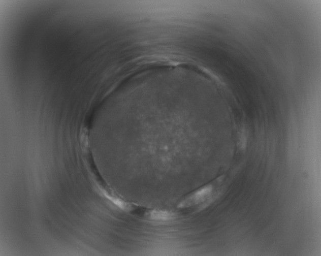 X0000082930766200702081540