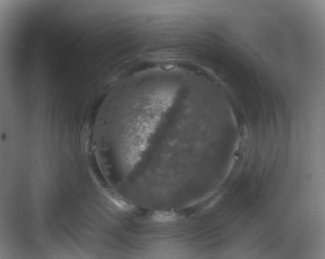 X0000082930767200702081540