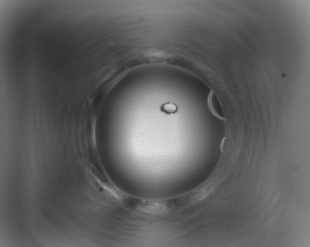 X0000082930768200702081541