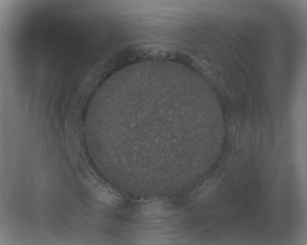 X0000082930769200702081540