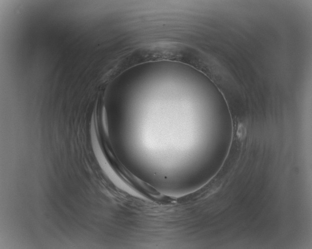 X0000082930771200702081540