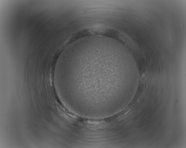 X0000082930772200702081540