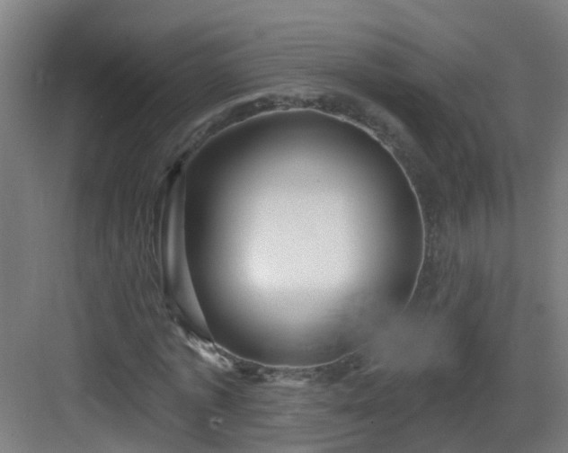 X0000082930773200702081540