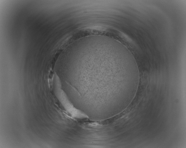 X0000082930774200702081540