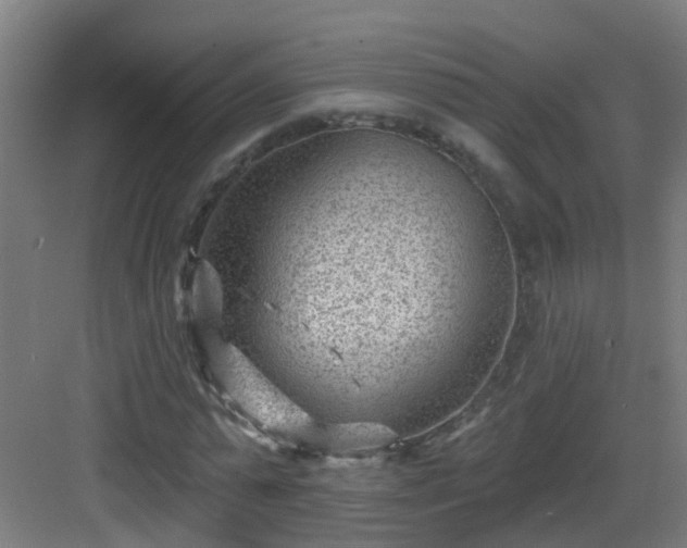 X0000082930775200702081540