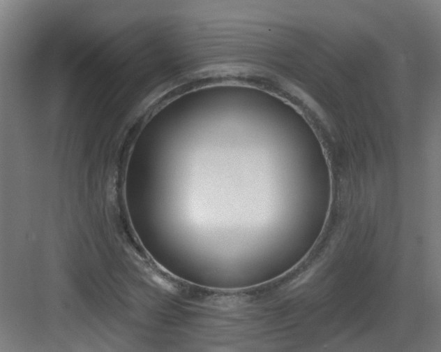 X0000082930778200702081540