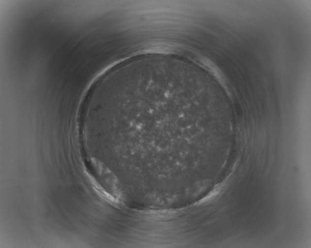 X0000082930779200702081540