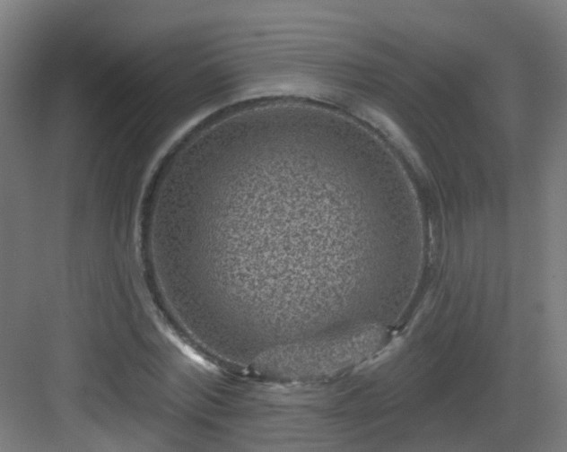 X0000082930780200702081540