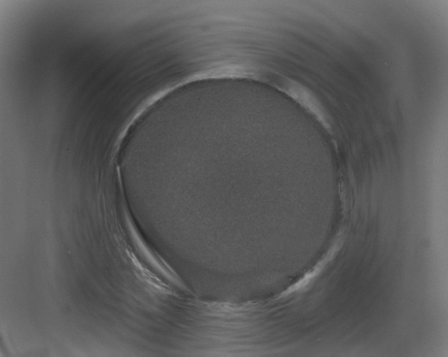 X0000082930781200702081539