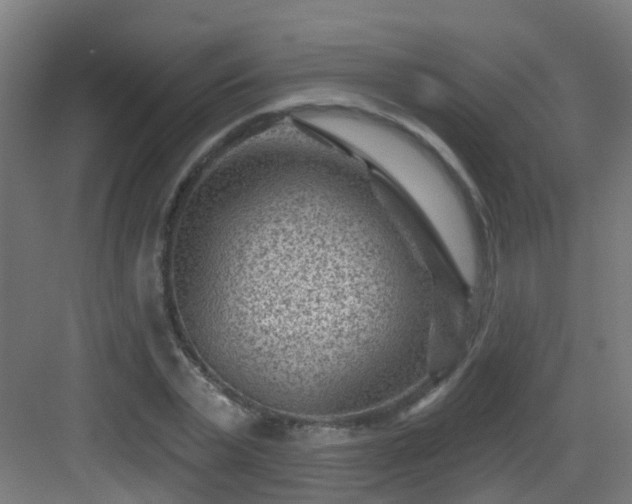 X0000082930783200702081539