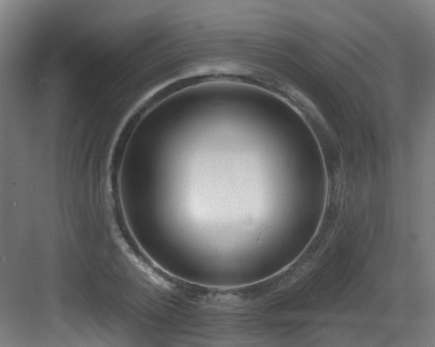 X0000082930784200702081539