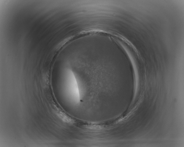 X0000082930785200702081539