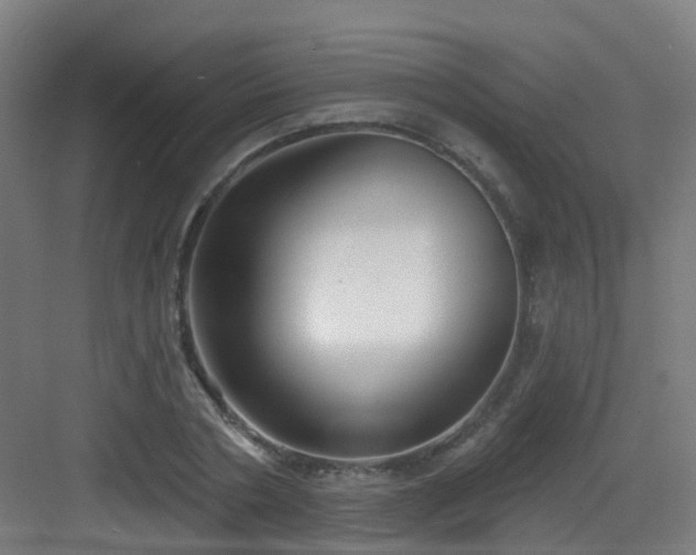 X0000082930786200702081539