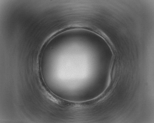 X0000082930787200702081539