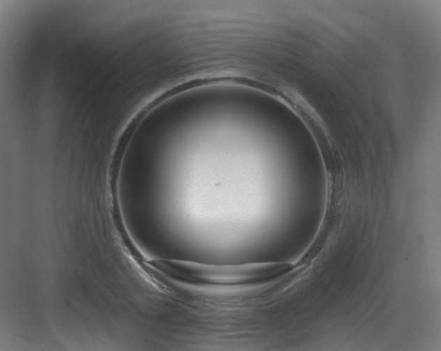 X0000082930789200702081539