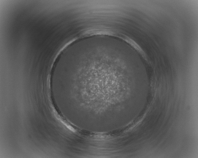 X0000082930790200702081539