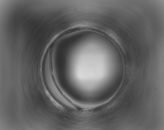 X0000082930791200702081539