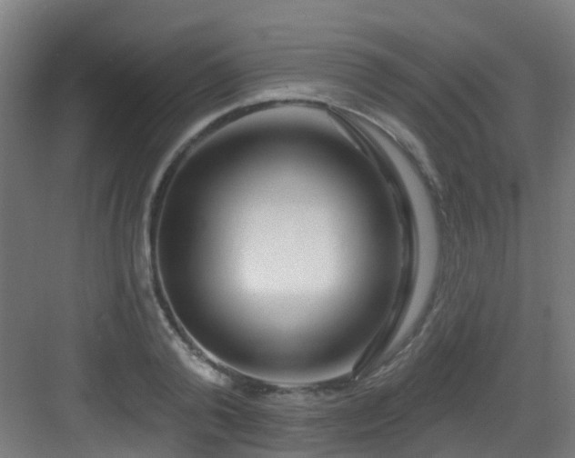 X0000082930792200702081539