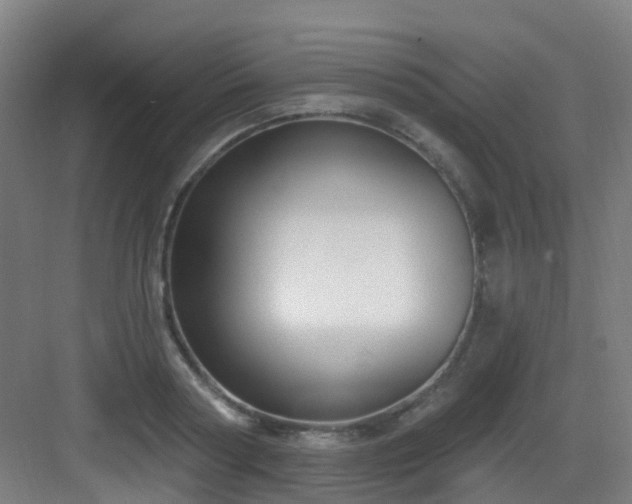 X0000082930794200702081539