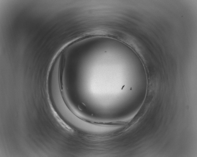 X0000082930795200702081539